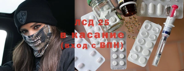 индика Алексин