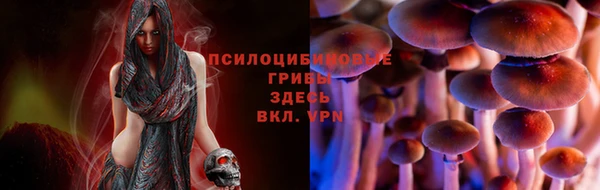 МДПВ Алзамай