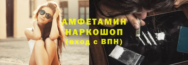 индика Алексин