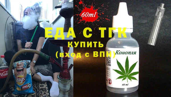 индика Алексин