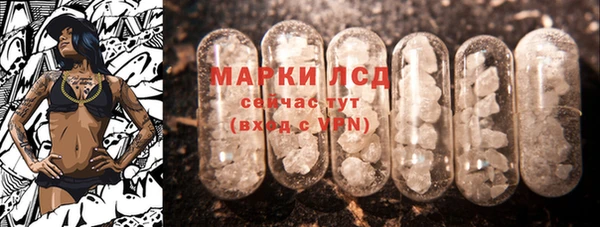 индика Алексин