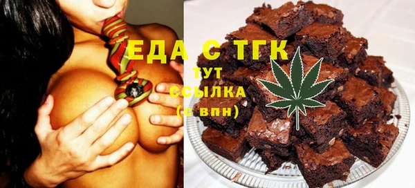 индика Алексин