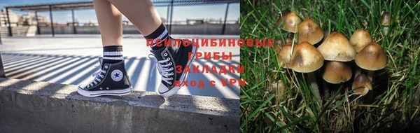 трава Алексеевка