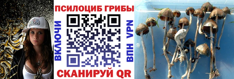 Псилоцибиновые грибы мухоморы  Искитим 